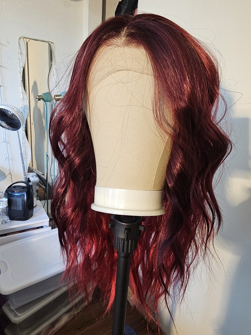 Beautiful Uncut Lace Front Wig
